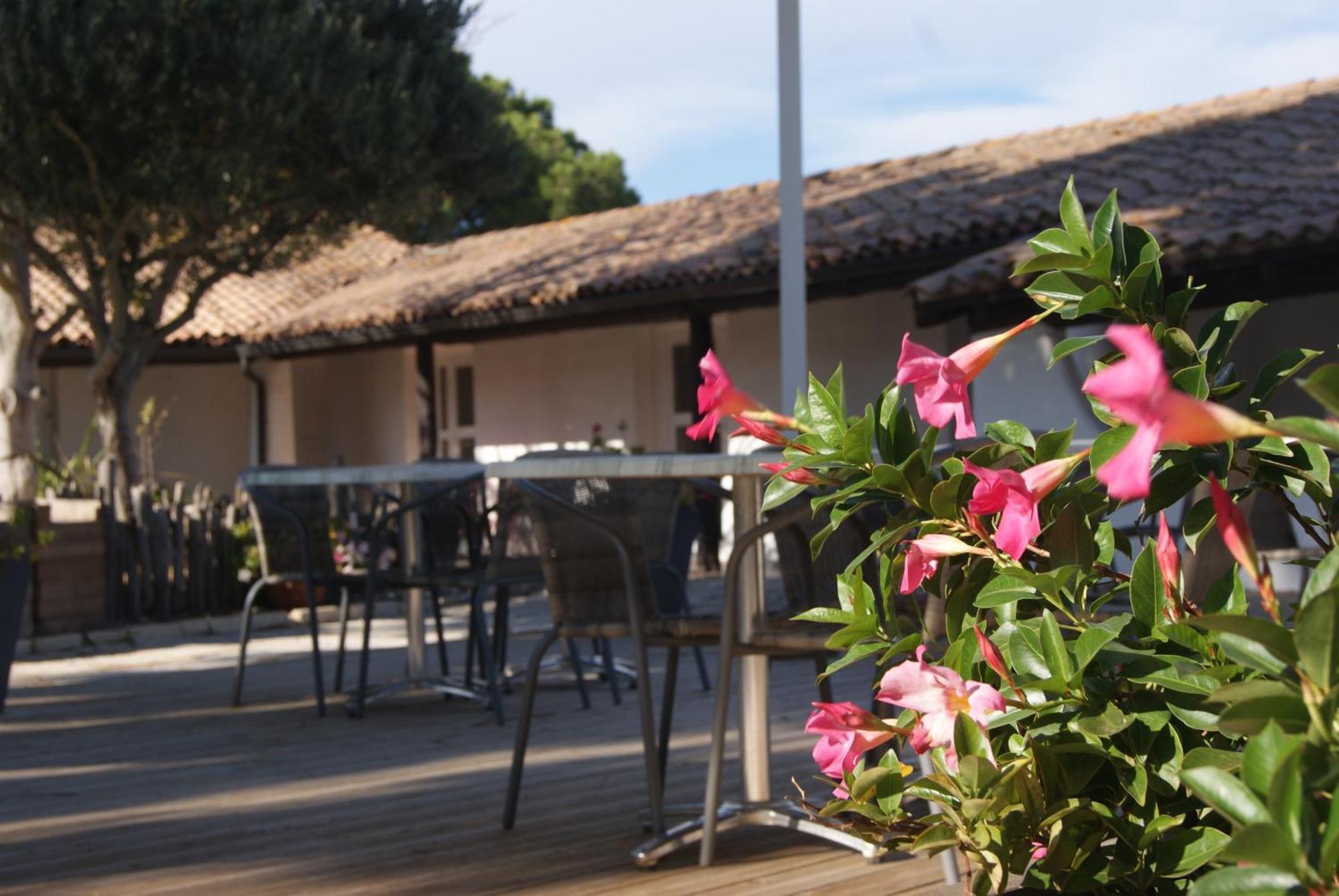Les Rizieres Hotel Saintes-Maries-de-la-Mer Exterior photo